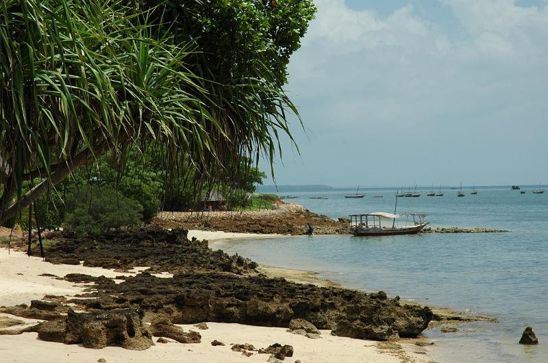 Zanzibar beach.JPG